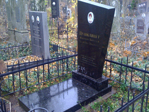 Влажная уборка памятника могилы Киев