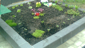 Грунт на могилу и посадка цветов Киев